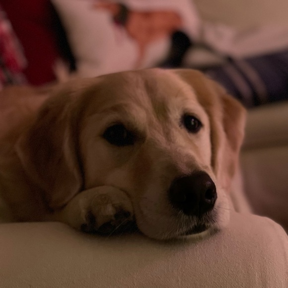 Meet your Posher, Denise - Picture 1 of 6